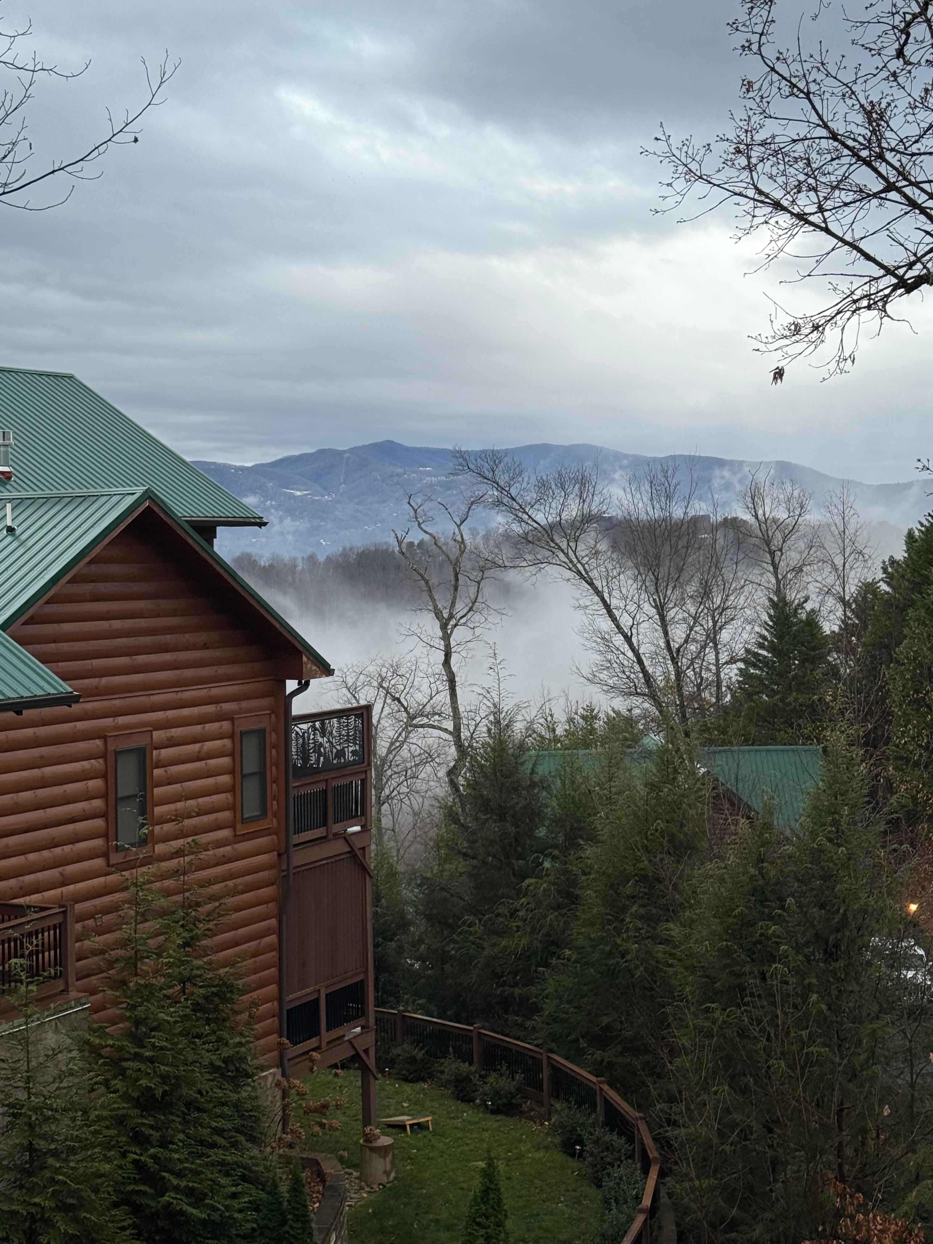 Early morning view from deck
