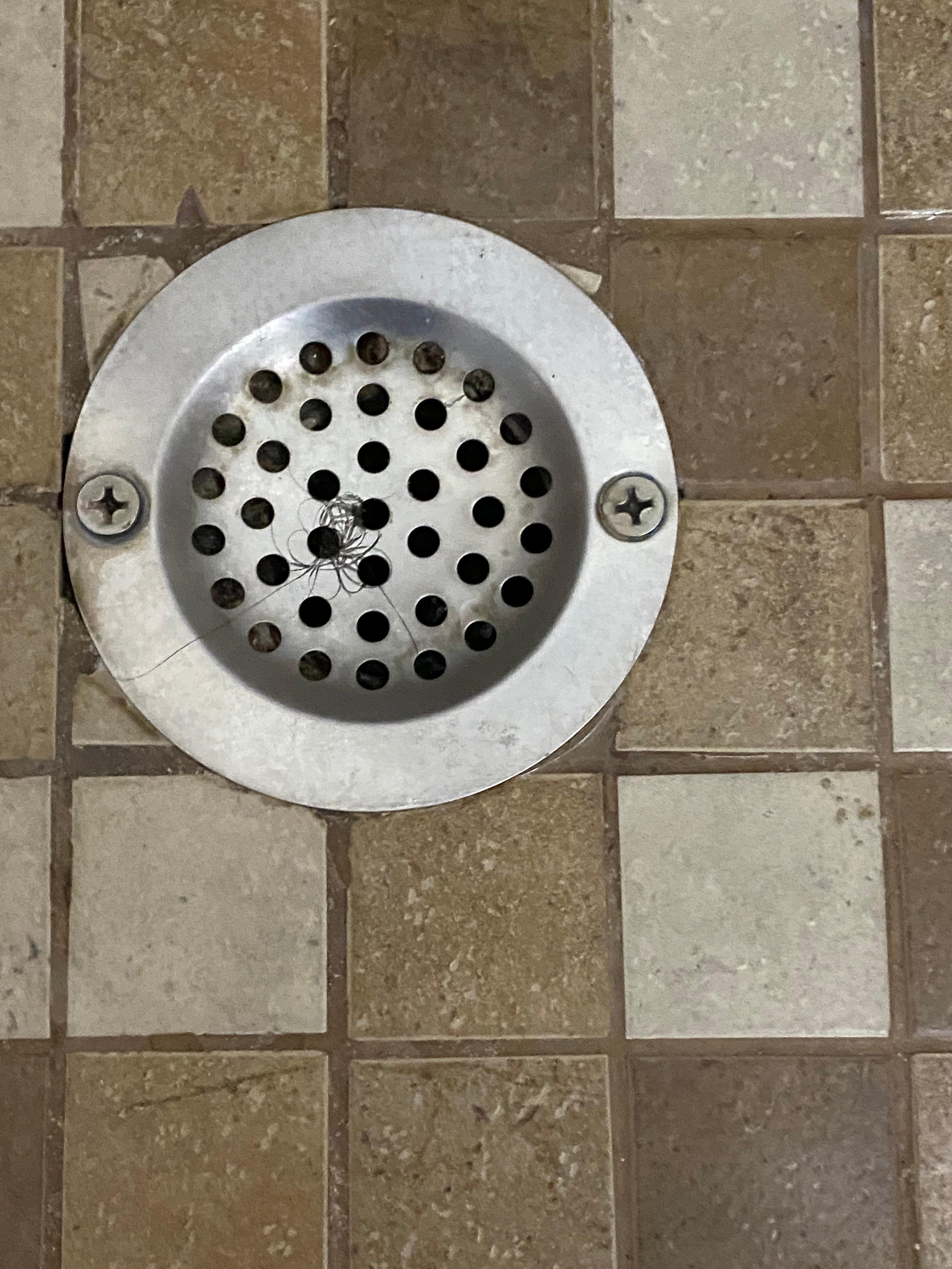 Hair in shower drain 