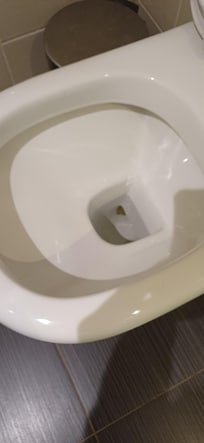 WC unclean