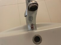Waschbecken bei unserer Ankunft
