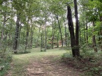 Dies ist die Ansicht aus dem Wald auf die hintere Haushälfte