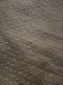 Blood on the sheets in the second room.