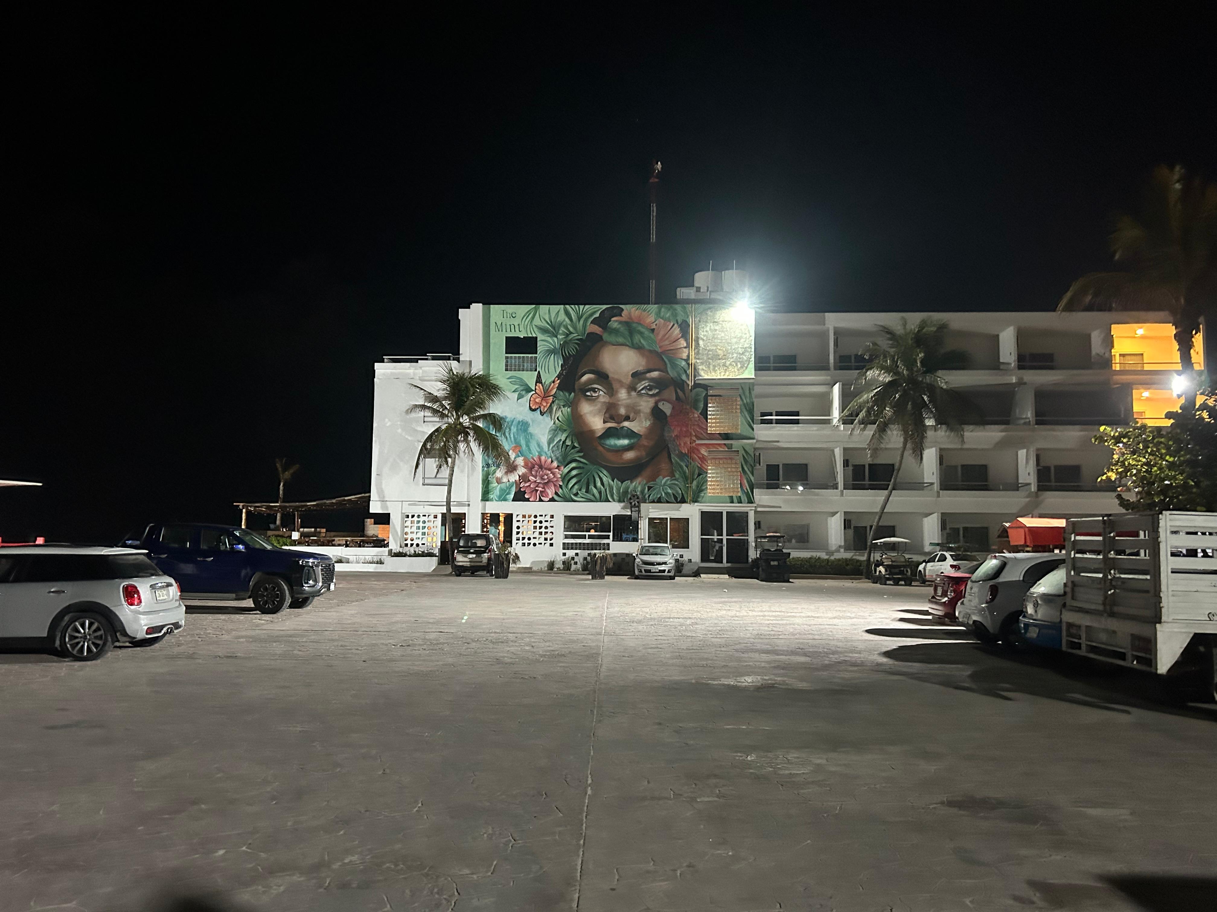 Beautiful mural on the side of the building. 