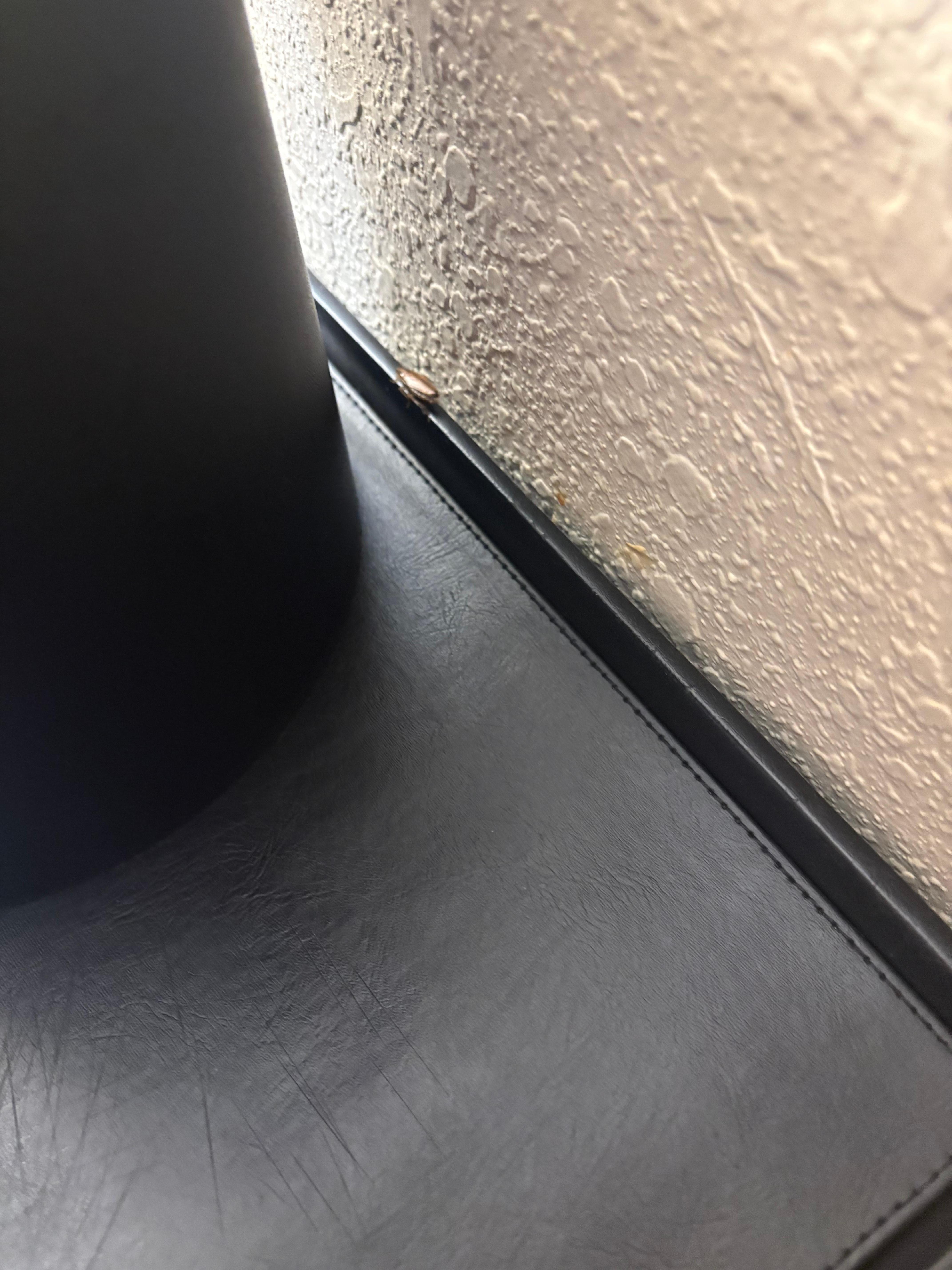 A.M staff said that there needs to be and inspection to be sure but the PM staff never came to check and refused to look at picture.