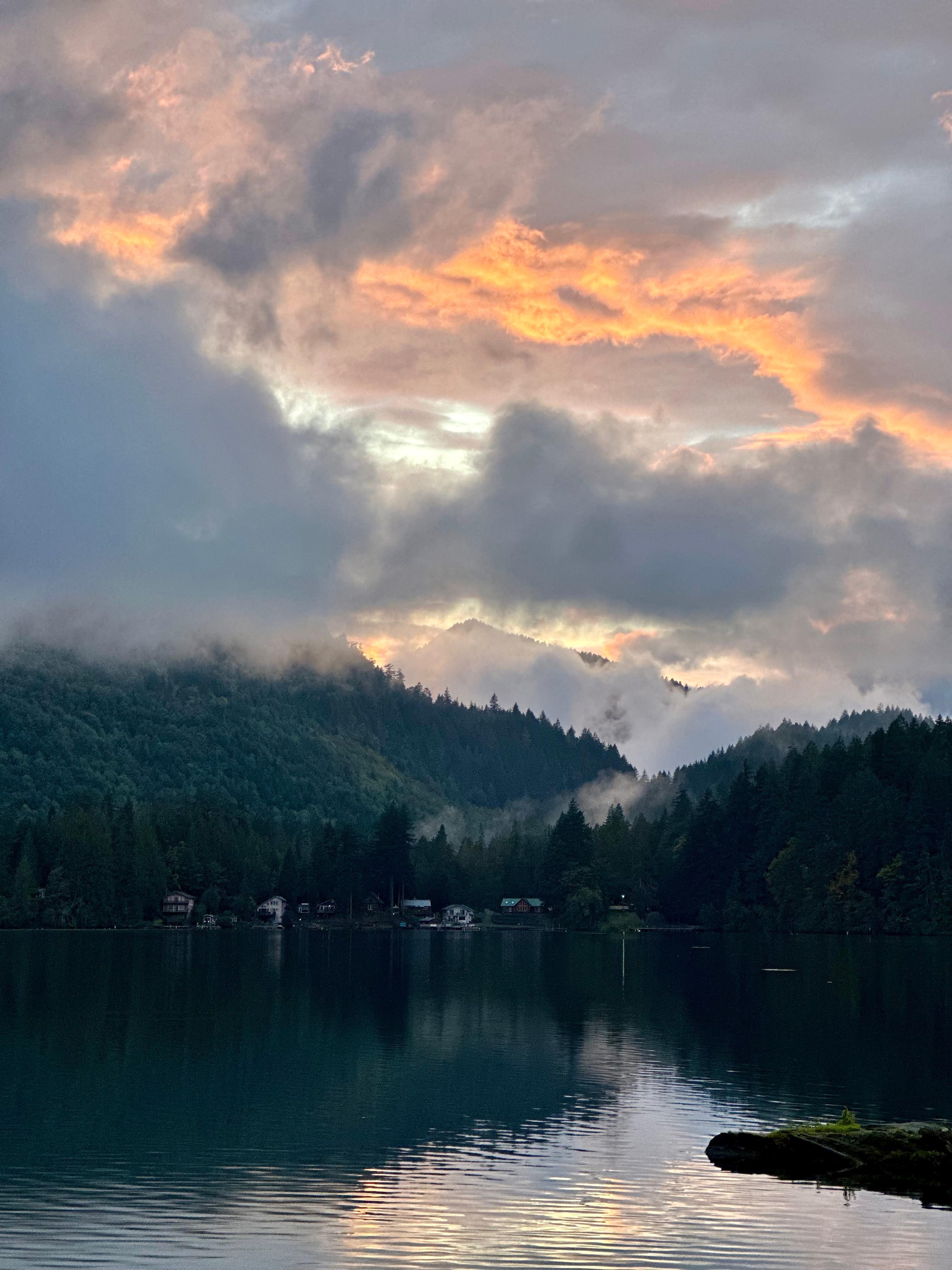 View of the lake from the dock. 