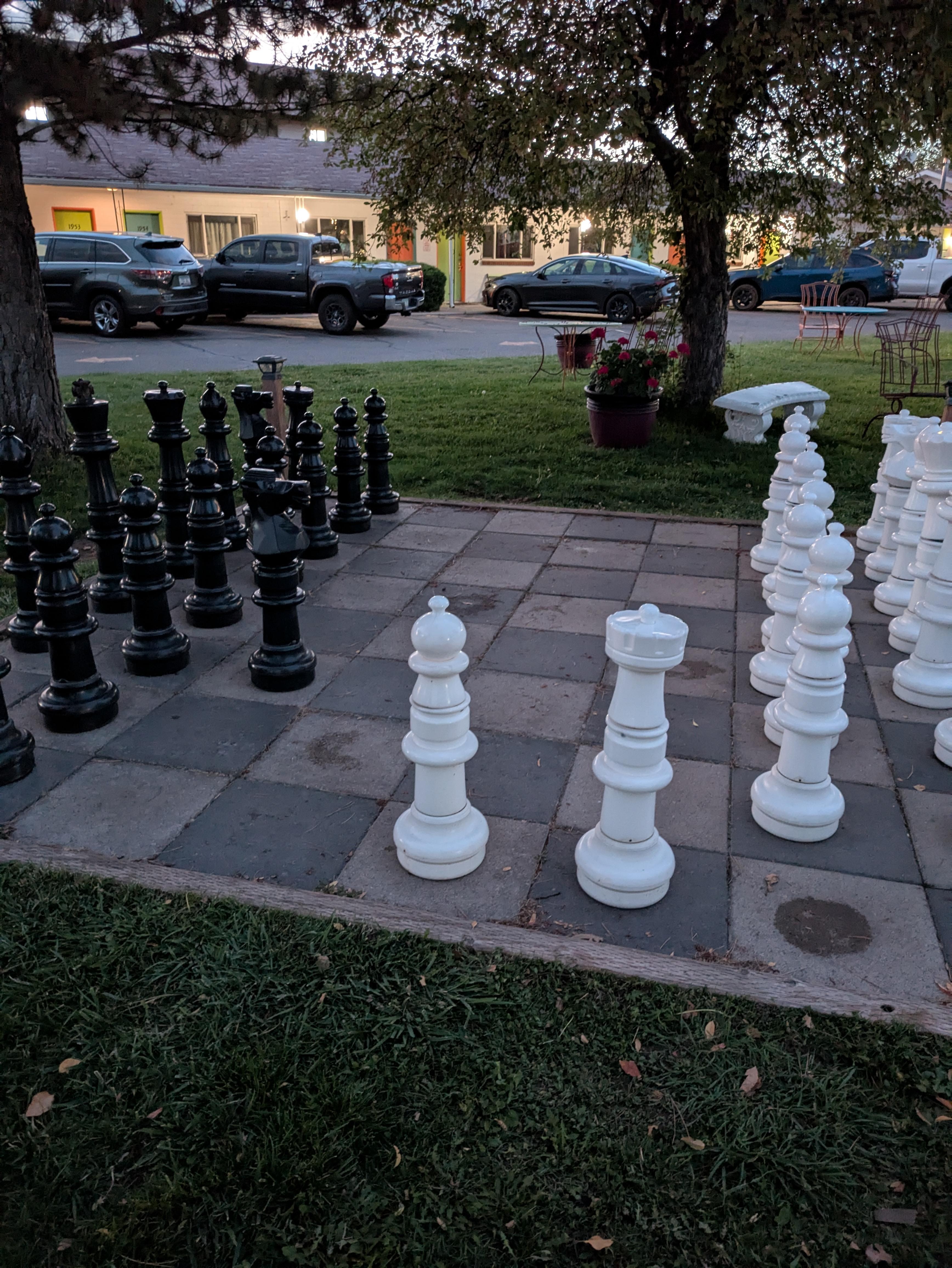 Chess Anyone?