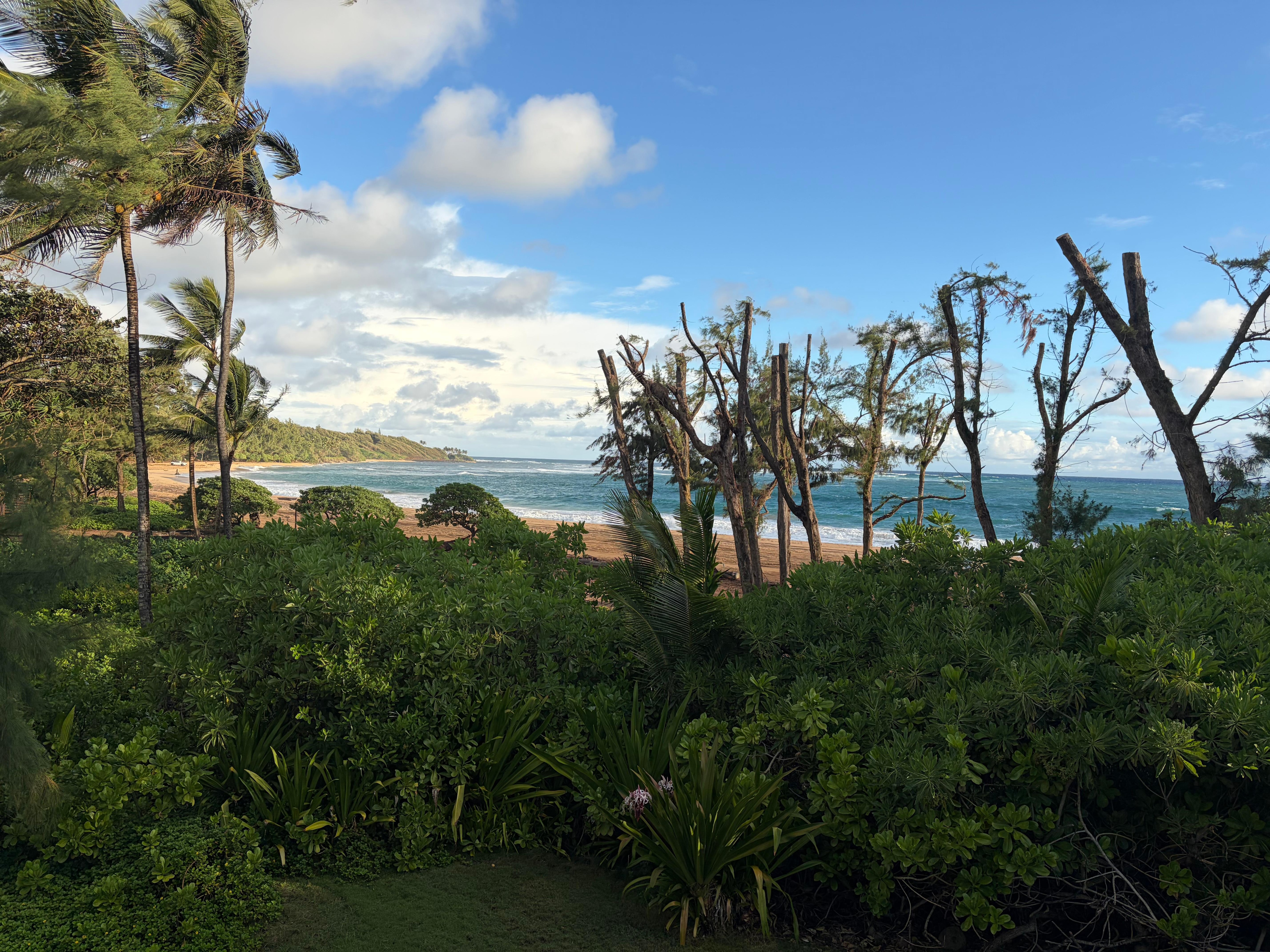 Stunning beach views