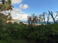 Stunning beach views