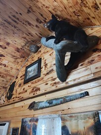 Did not notice until there the bees nest for honey.
