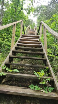 Pictures of the stairs going down to the lake and areas of the lake