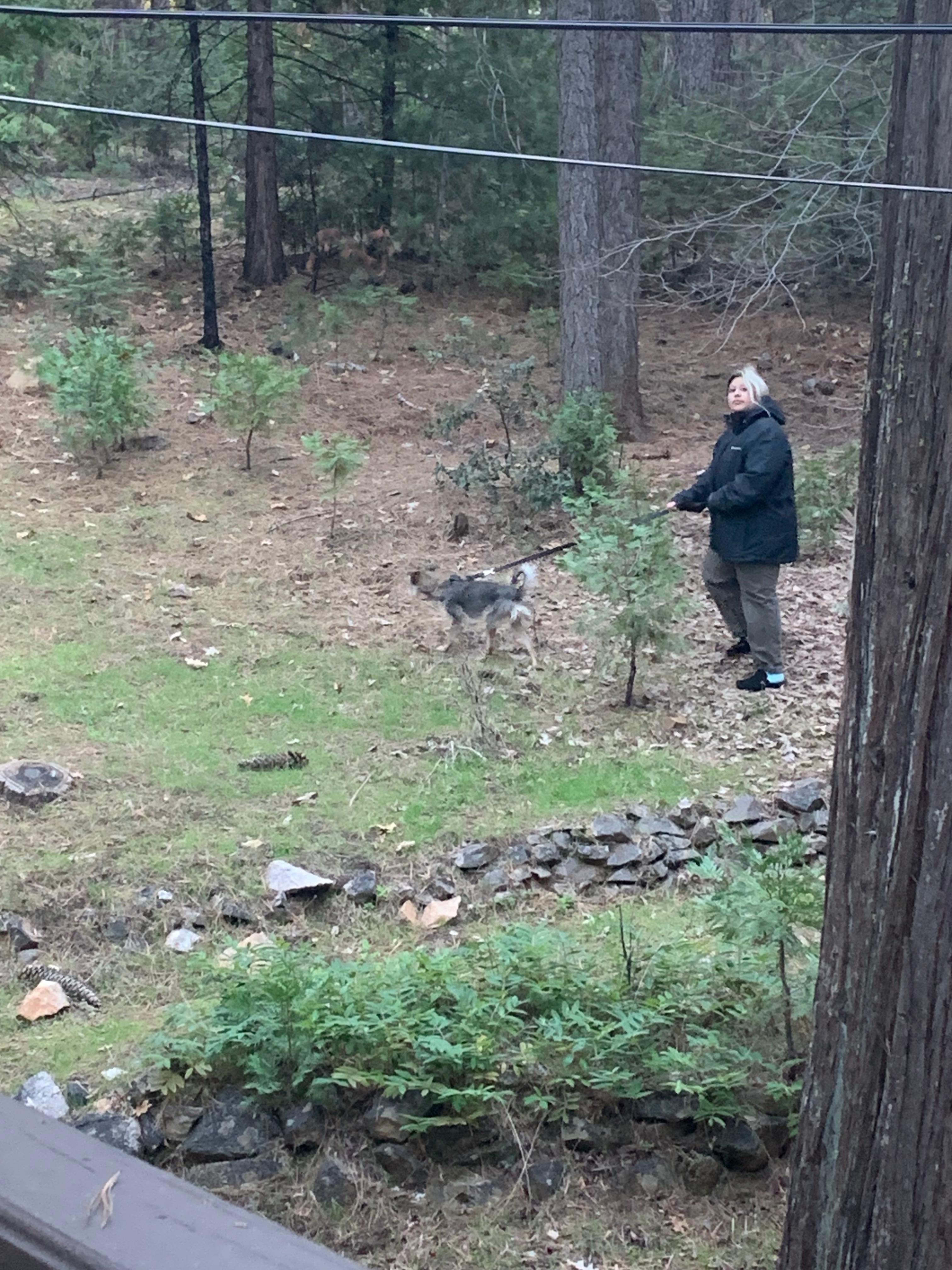 Exploring the grounds.
