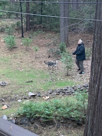 Exploring the grounds.