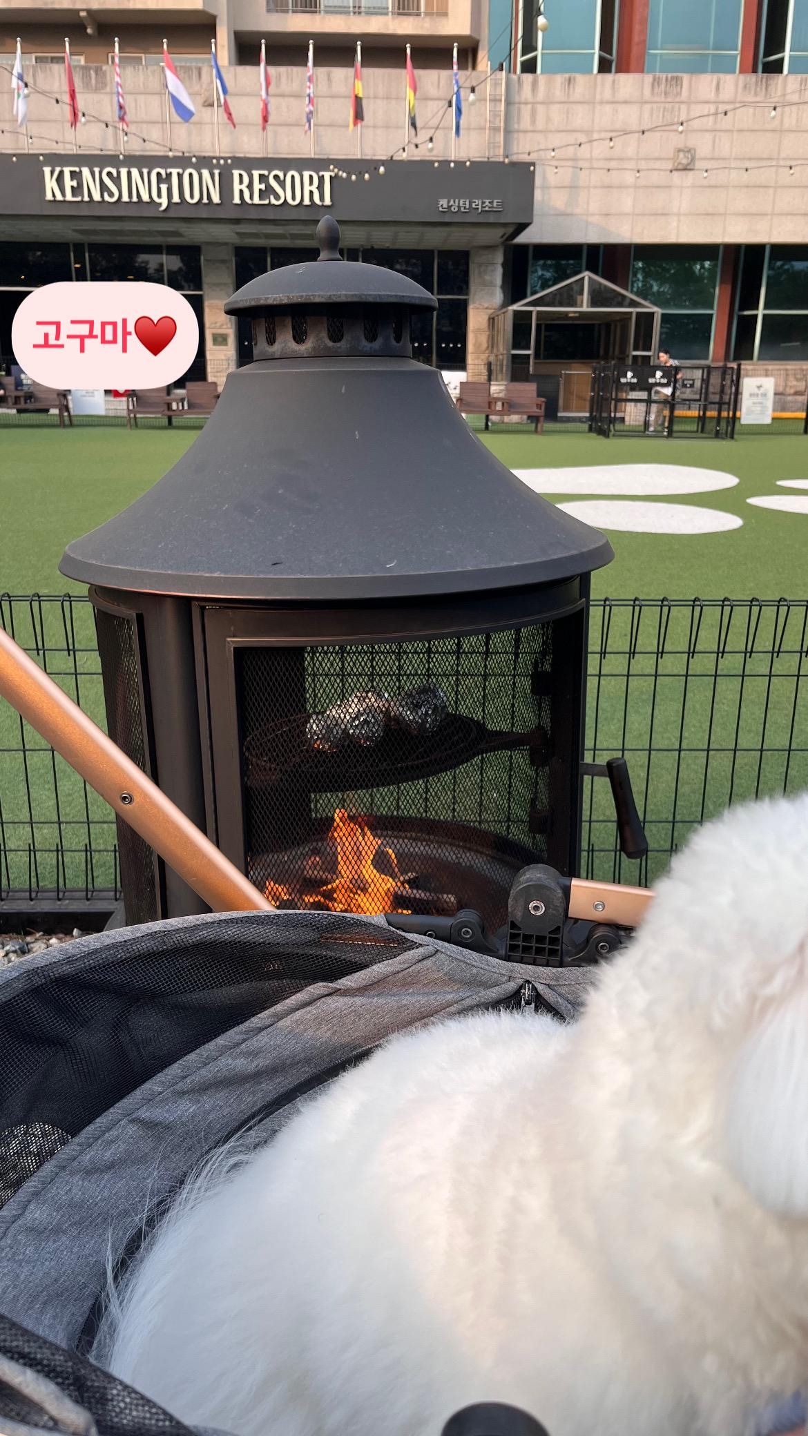 바베큐도 너무 좋았어요!!