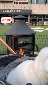 바베큐도 너무 좋았어요!!