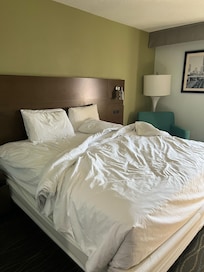 Room condition upon entering. Didn’t even put our bags down before leaving hotel.