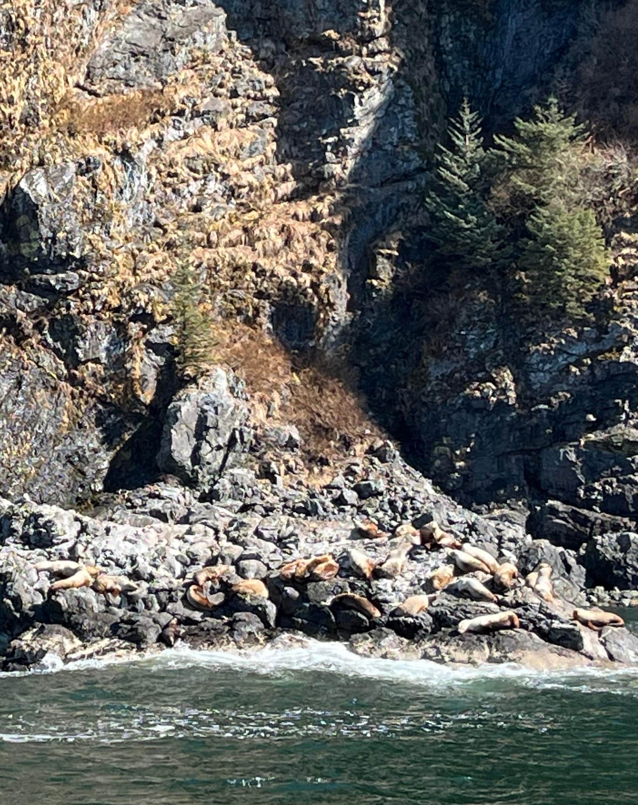 Our day trip on Major Marine’s!! Saw two different whales!! And the weather was fabulous!!