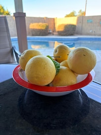 The grapefruit tree in the backyard was a real bonus!