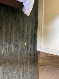 Bleach stain