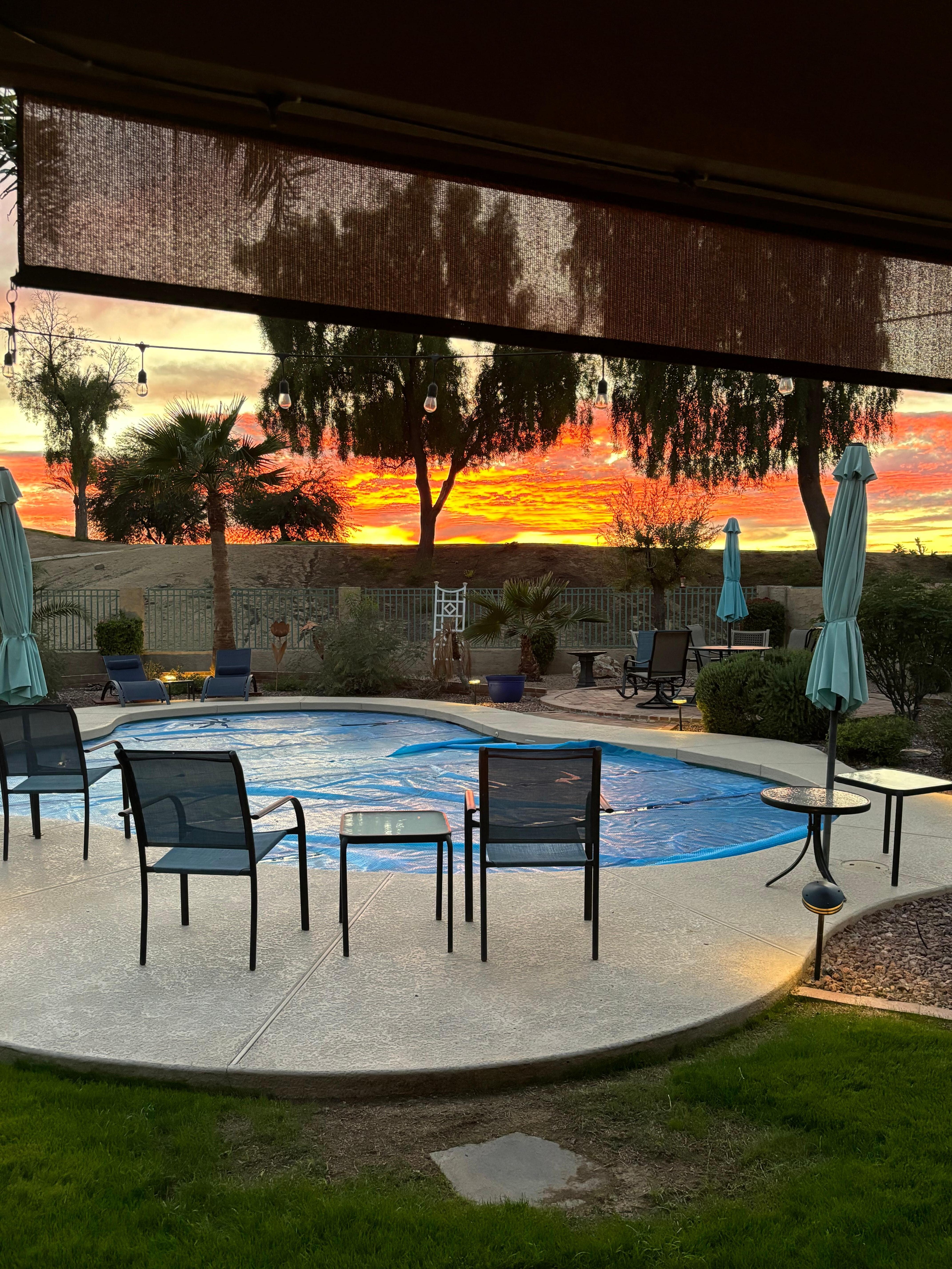Picture of the backyard during sunset