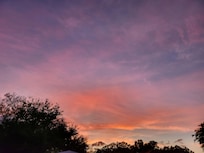 Sunset from the very nice size backyard. I had my service dog white German shepherd and he had room to run around. You didn't feel like you were in a city!