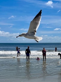 East beach