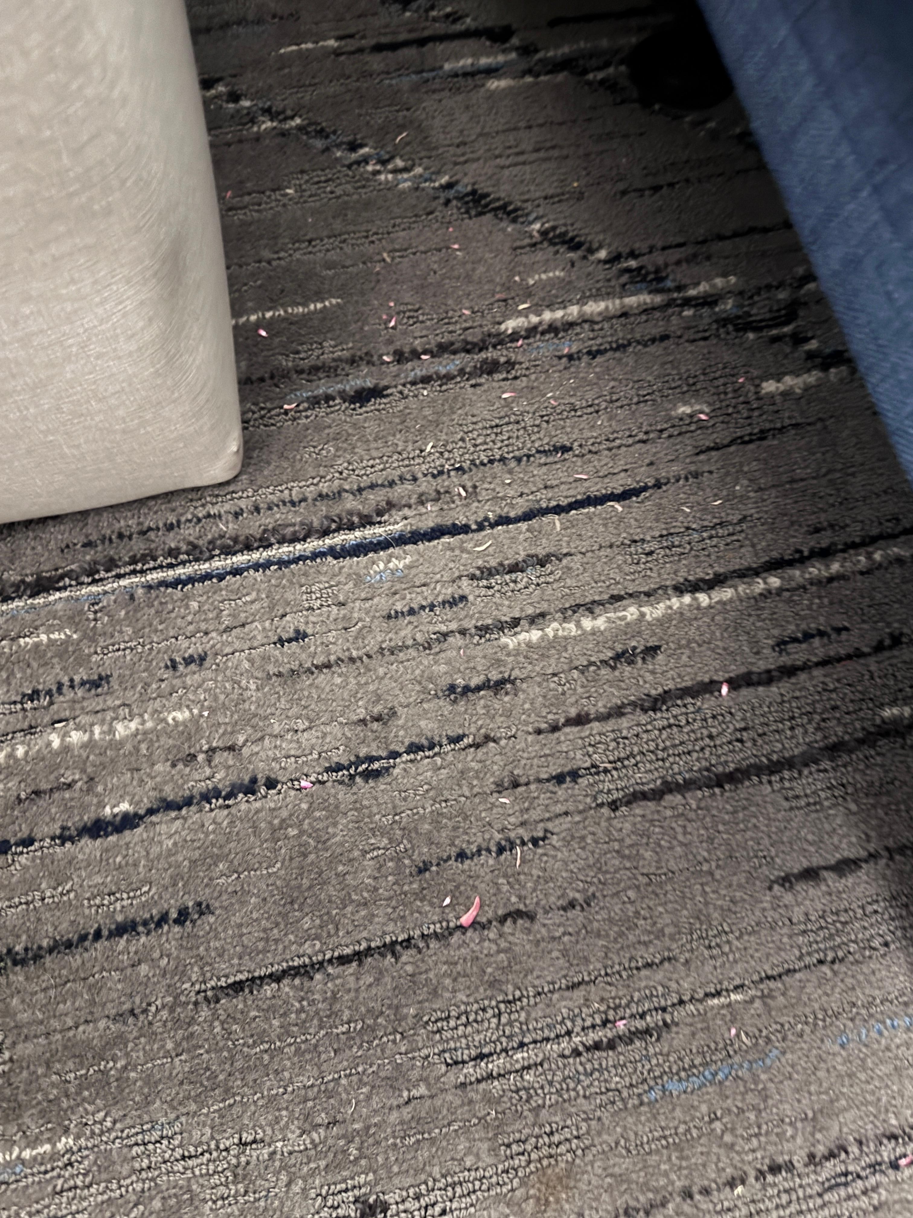 The only thing that was not clean/vacummed. Nail clippings 