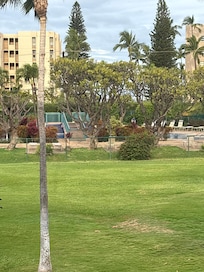 View from the balcony. Just beyond those trees, you can see the waves crashing!