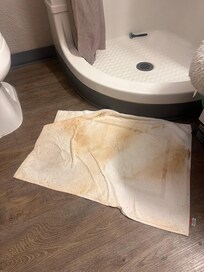 Water staining the towels given to us to cover the water coming up from the floorboards.