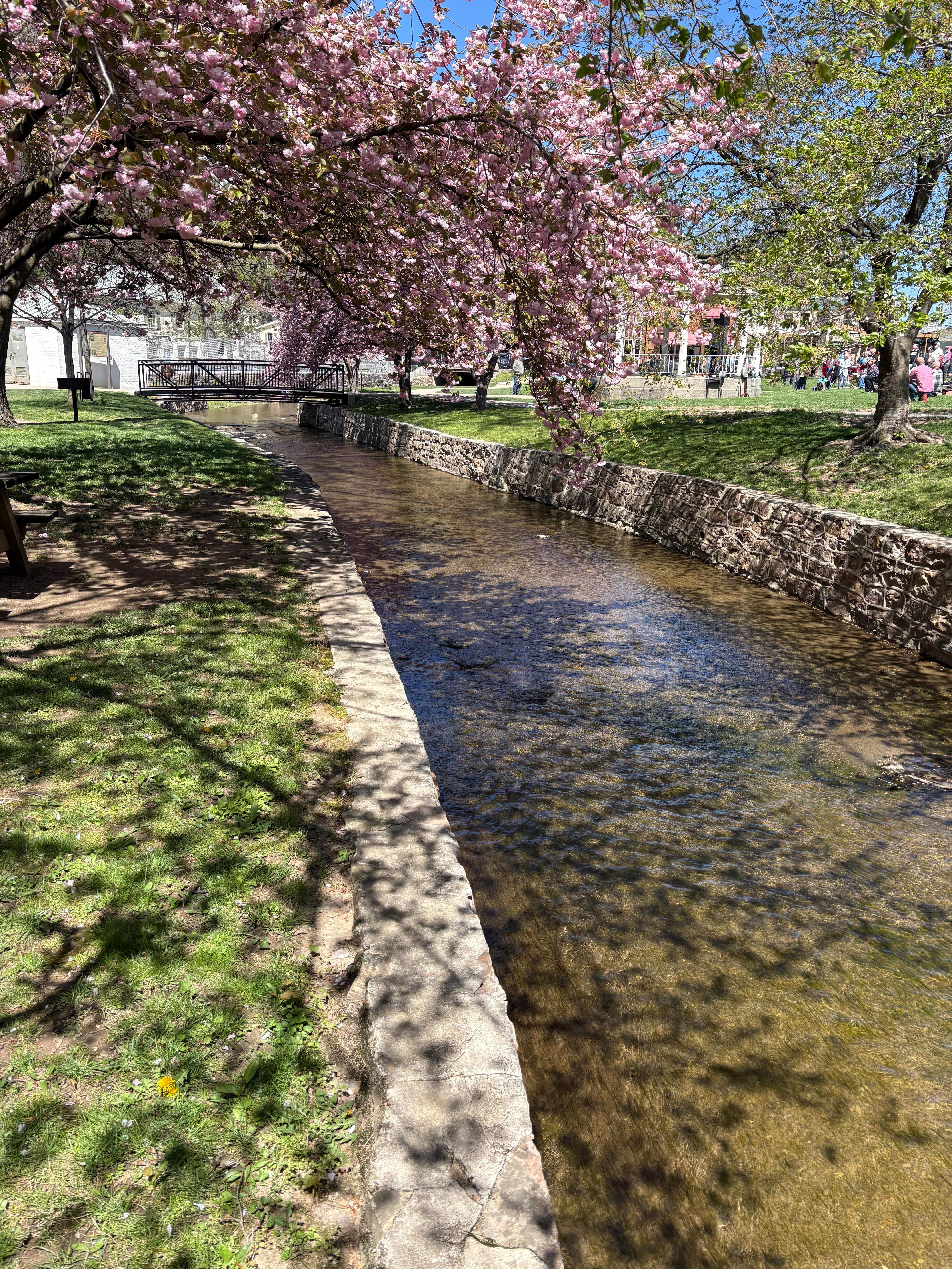 This was in Berkeley Springs park 