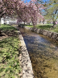 This was in Berkeley Springs park