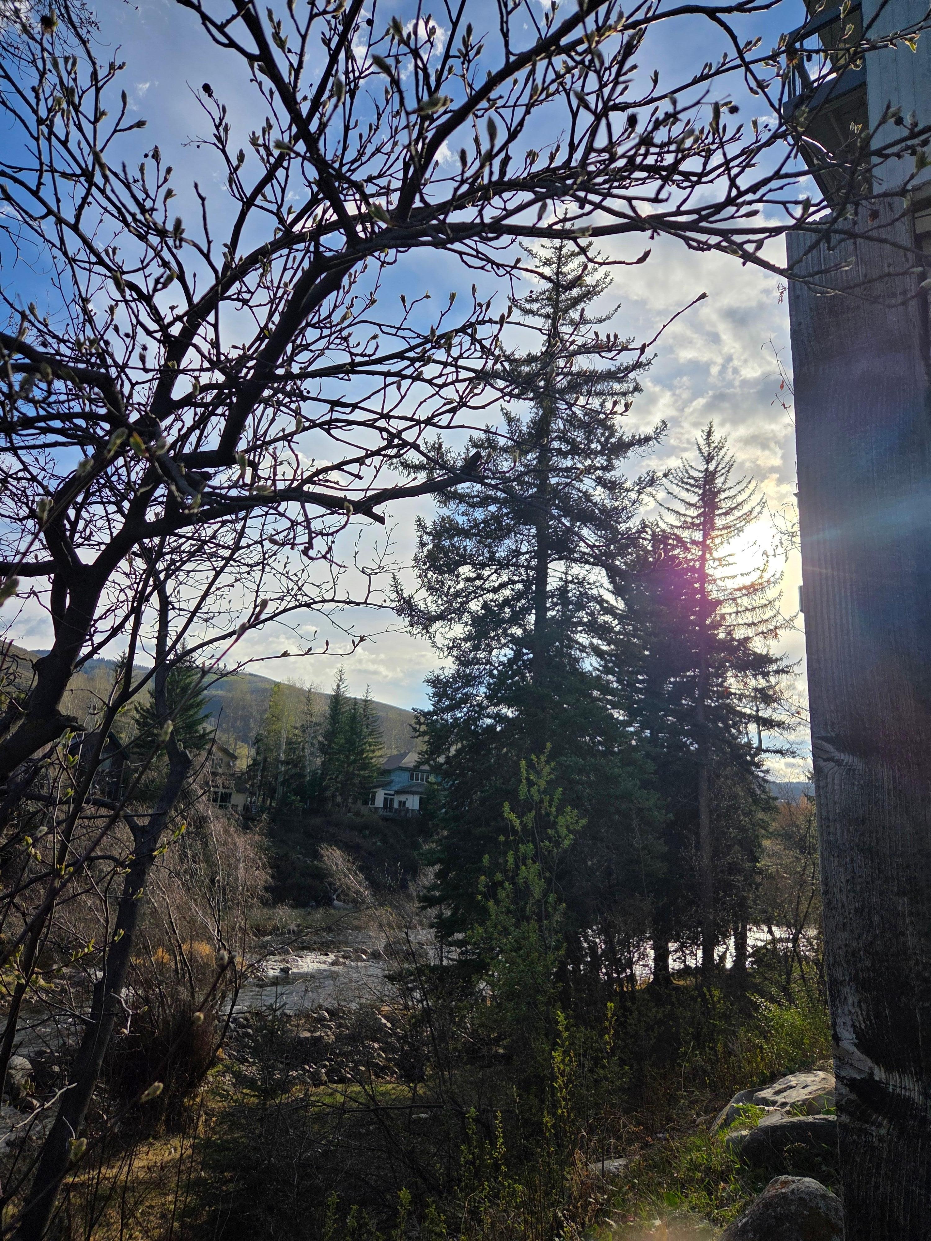 View at top of stairs leading to river. 
