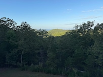 The view