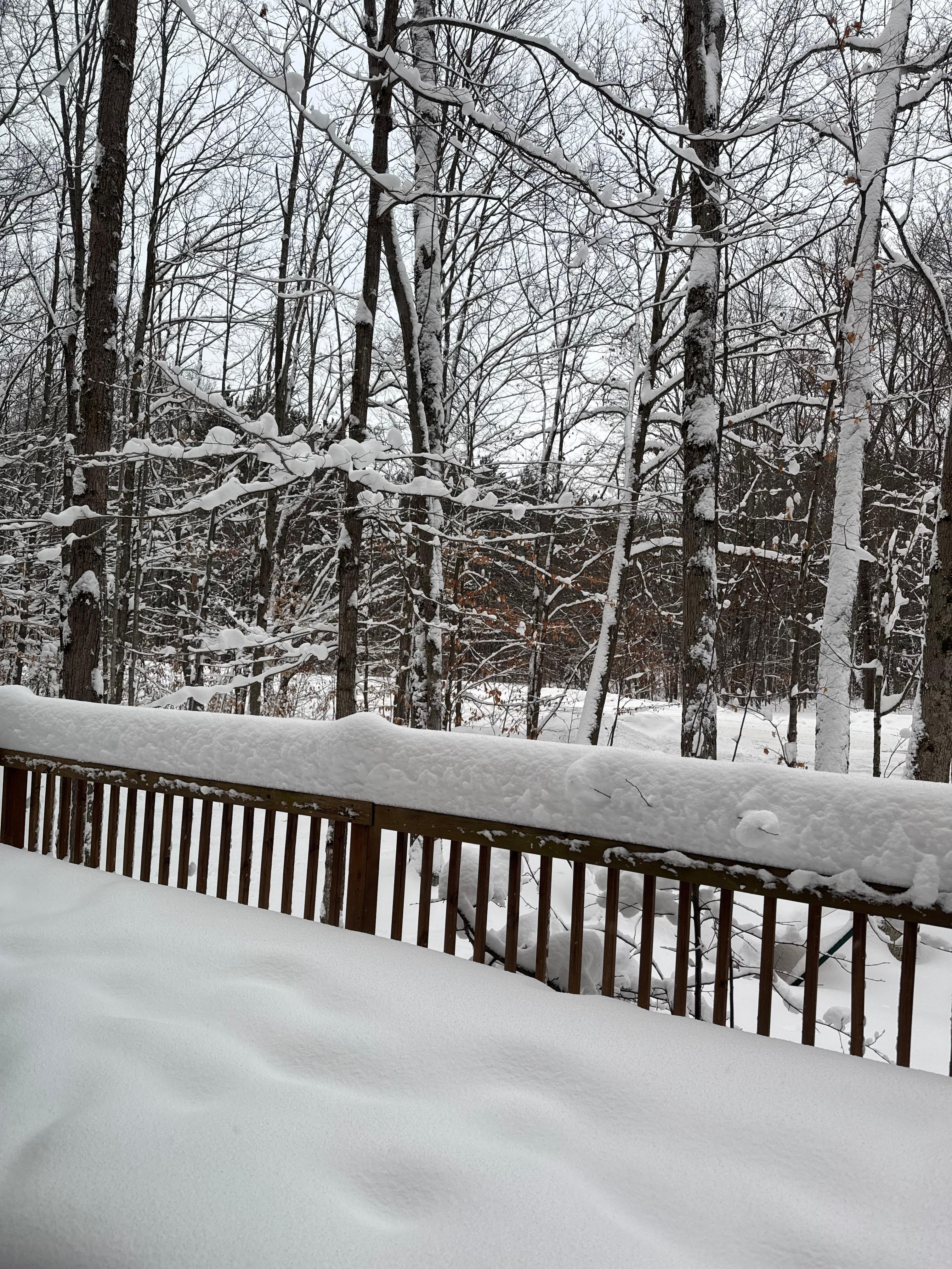 Winter storm warning most of the week! This was the first wave…