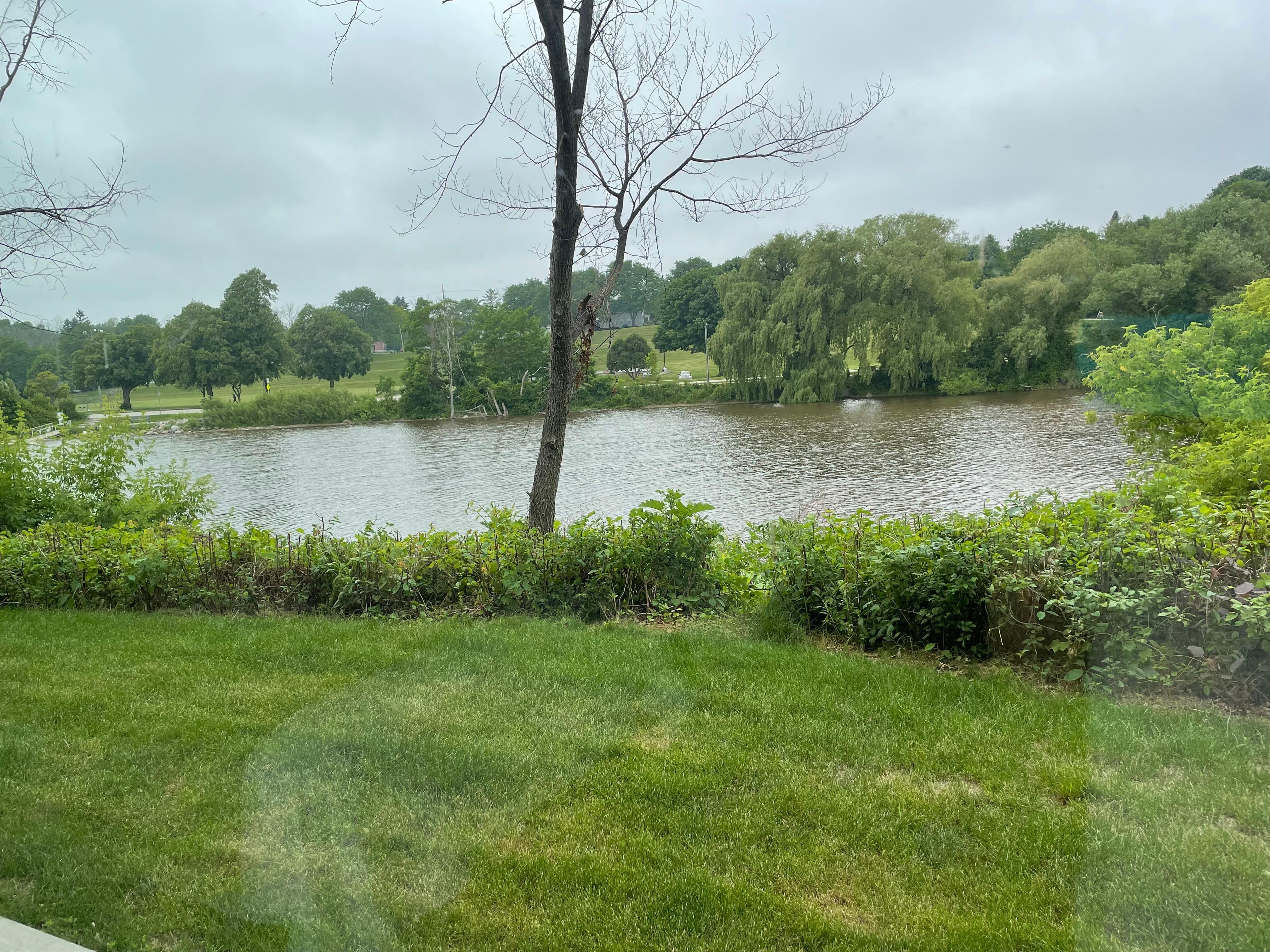 Room view 