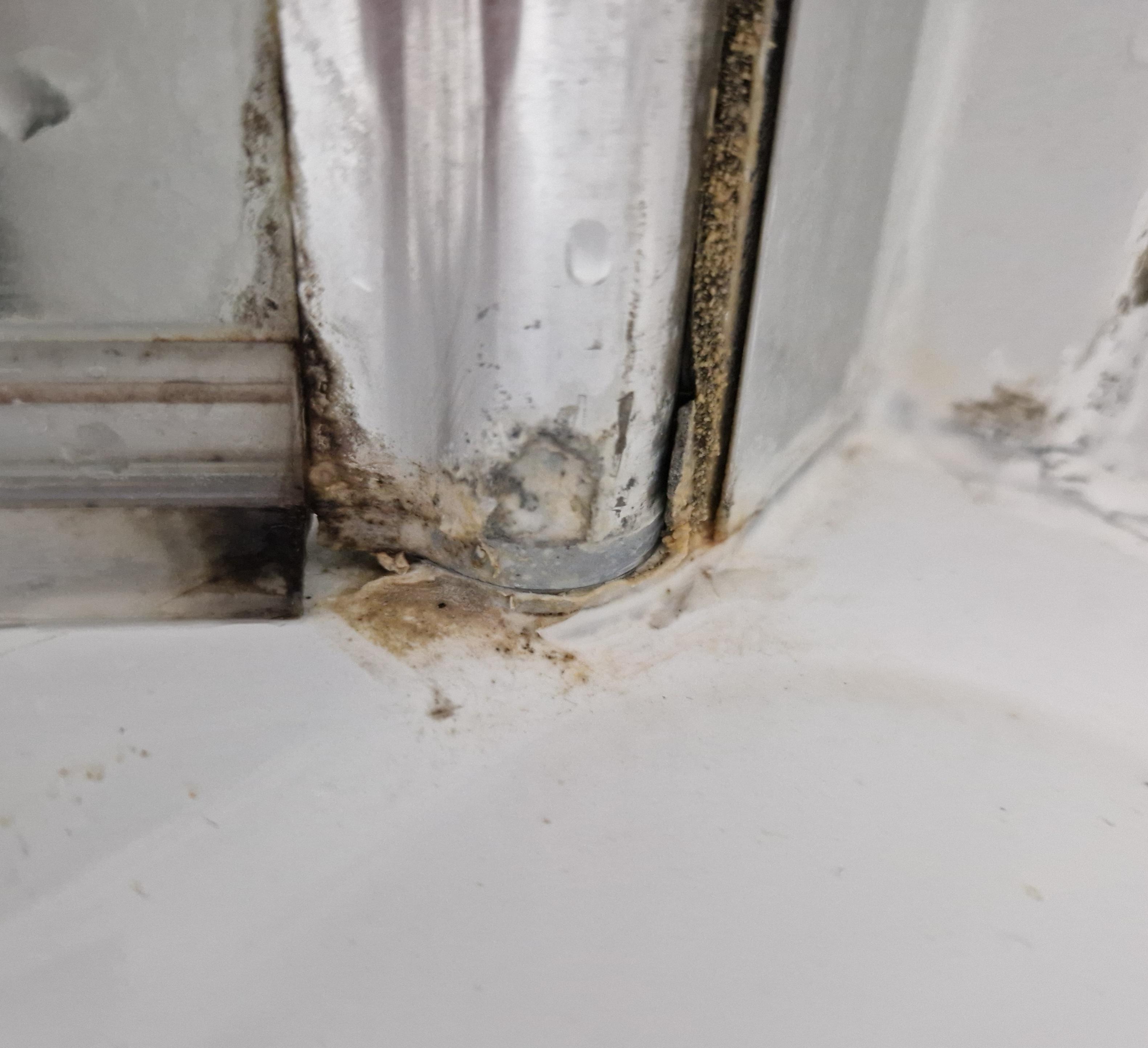 Schmutz und Schimmel in der Dusche
