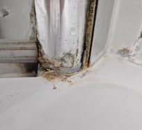 Schmutz und Schimmel in der Dusche