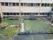 View from my room