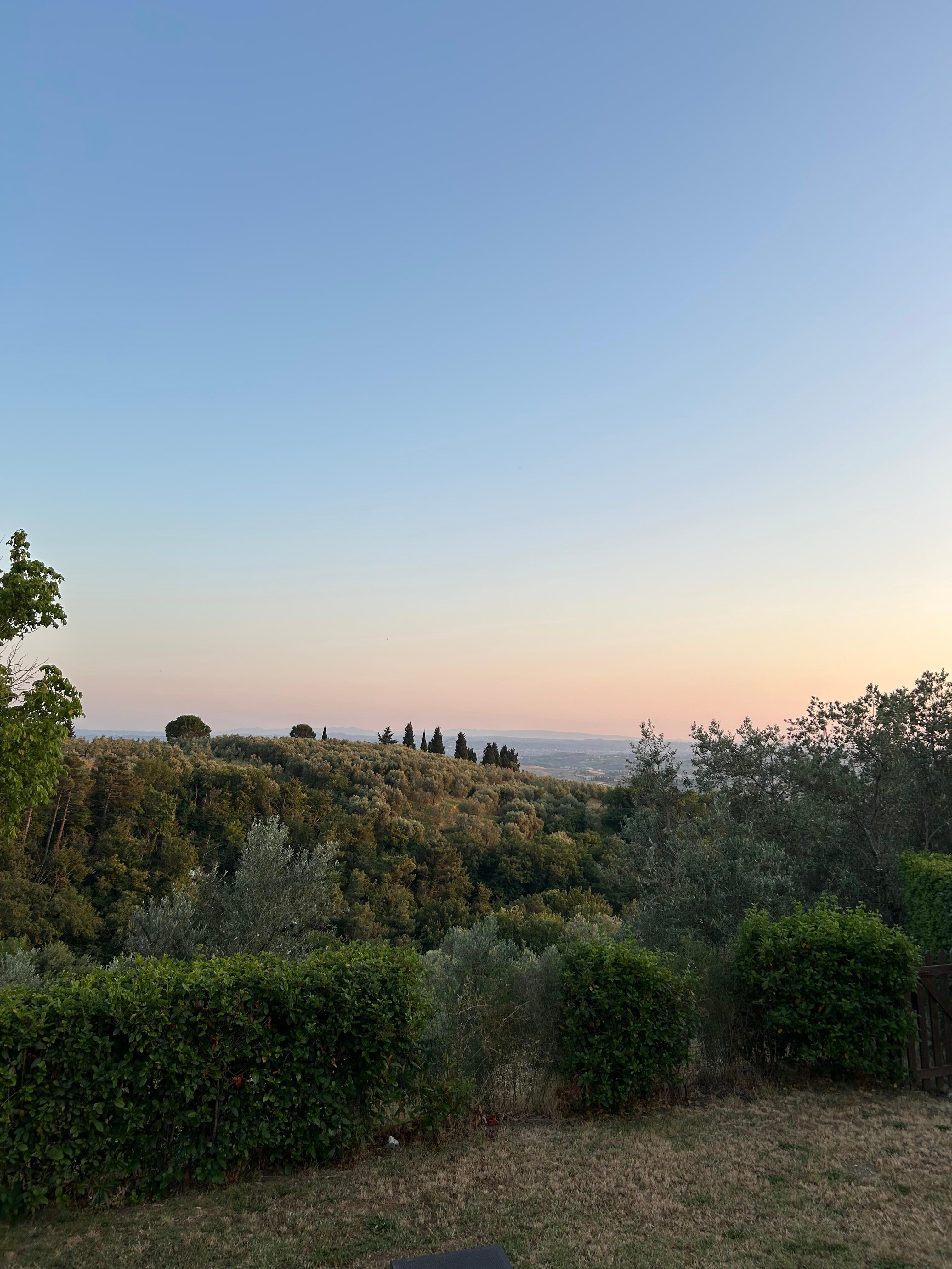 Ausblick Terrasse