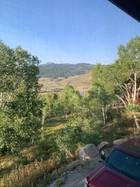 View from the back balcony.