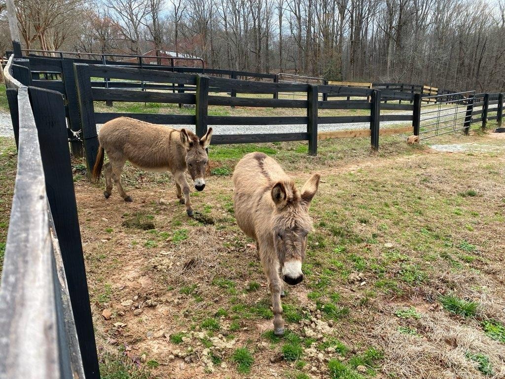 New friends times two!! 