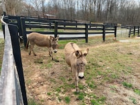 New friends times two!!