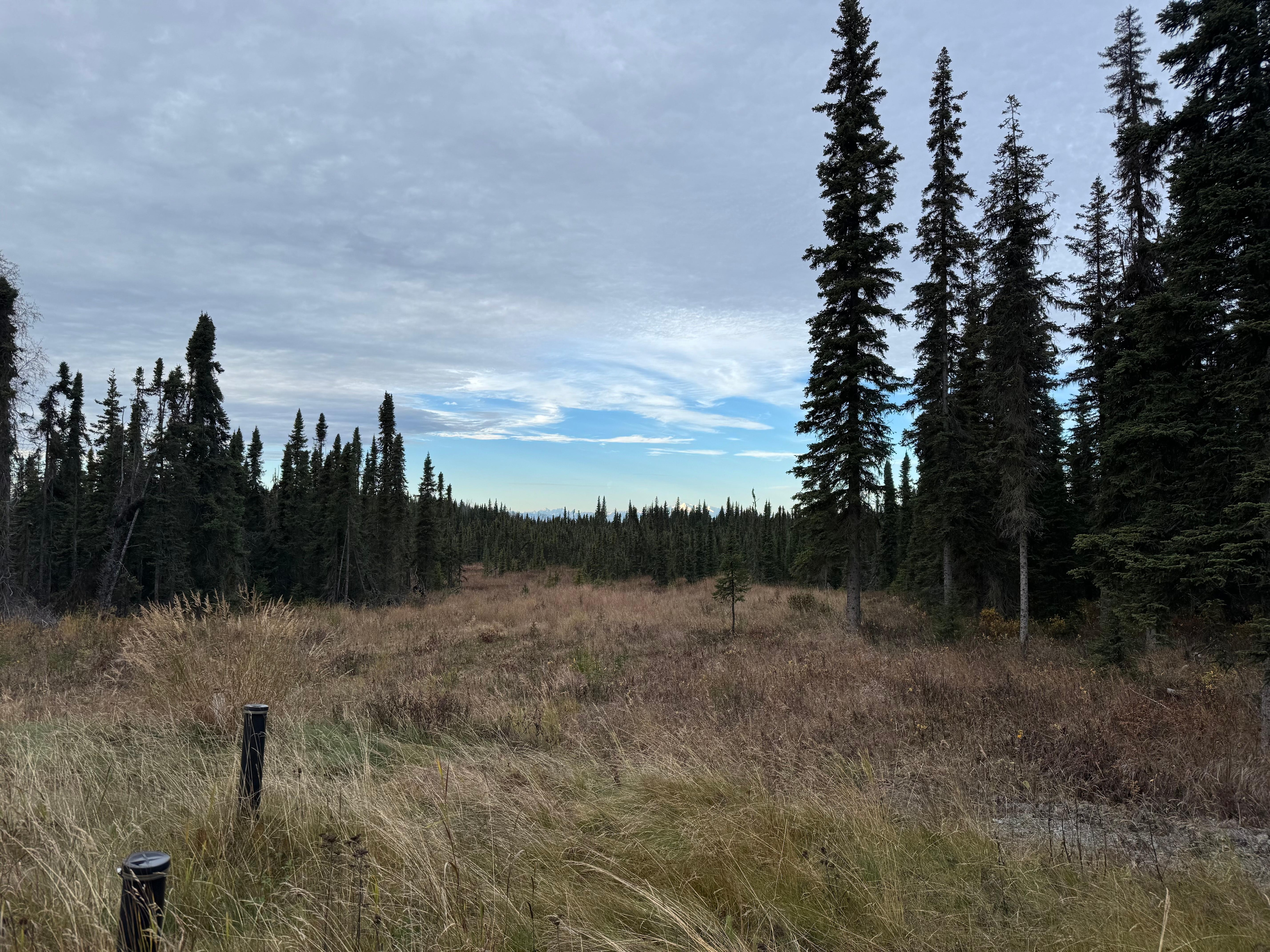 Pretty scenery from  the deck