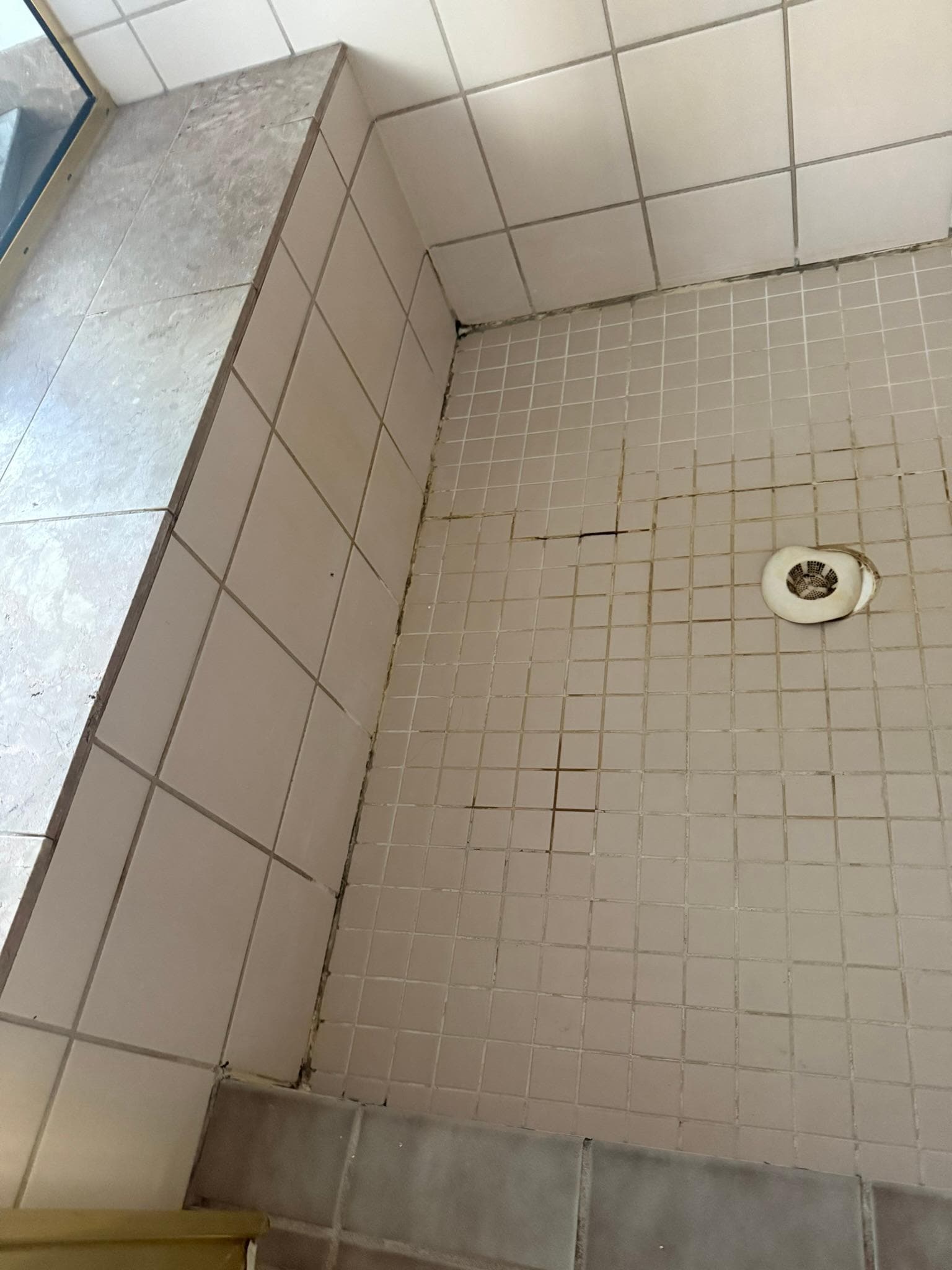 Shower in Primary bathroom