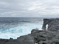 View from the ocean after a short walk in the backyard.