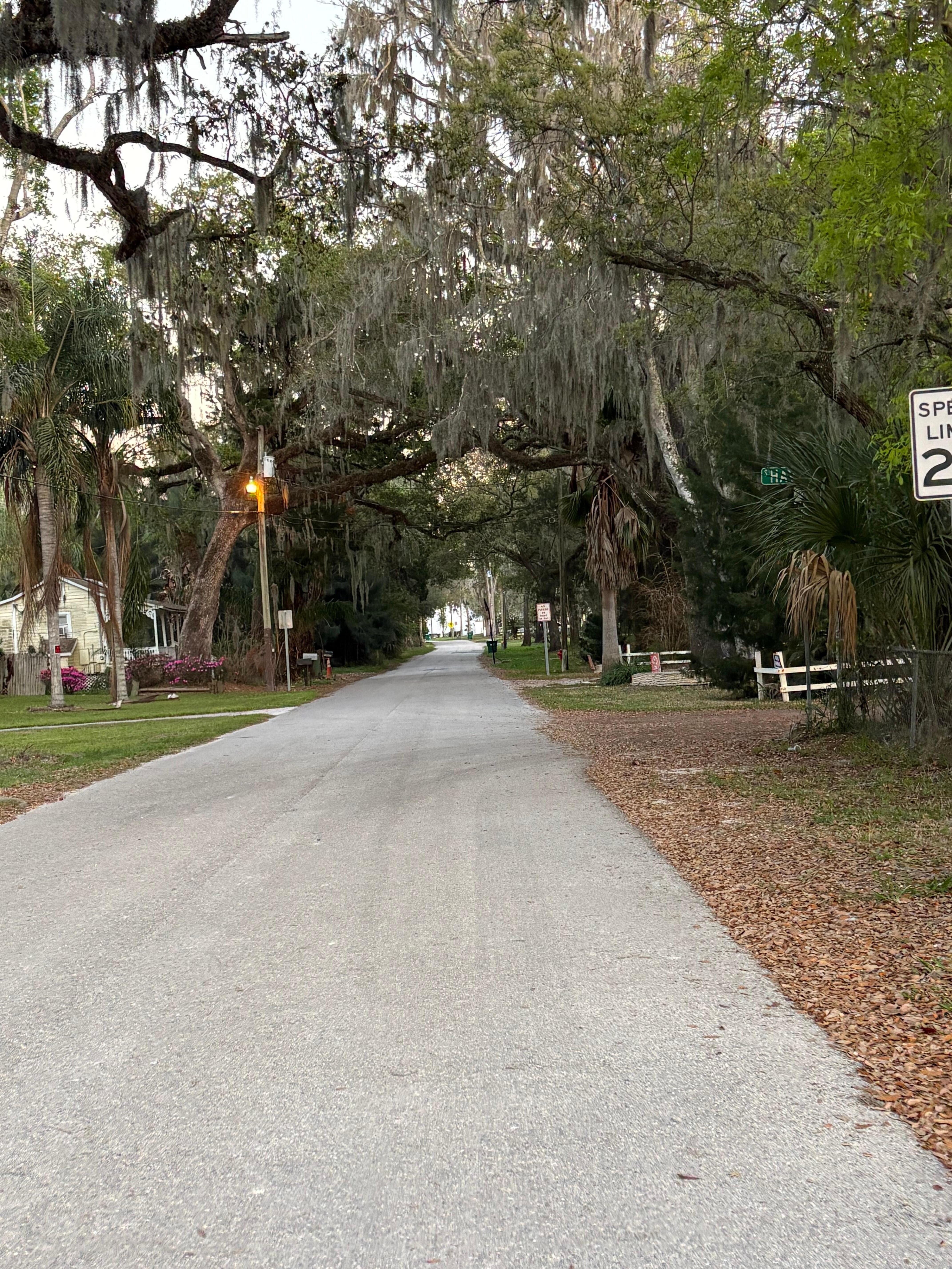 The tree lined street place is located 