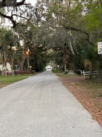 The tree lined street place is located