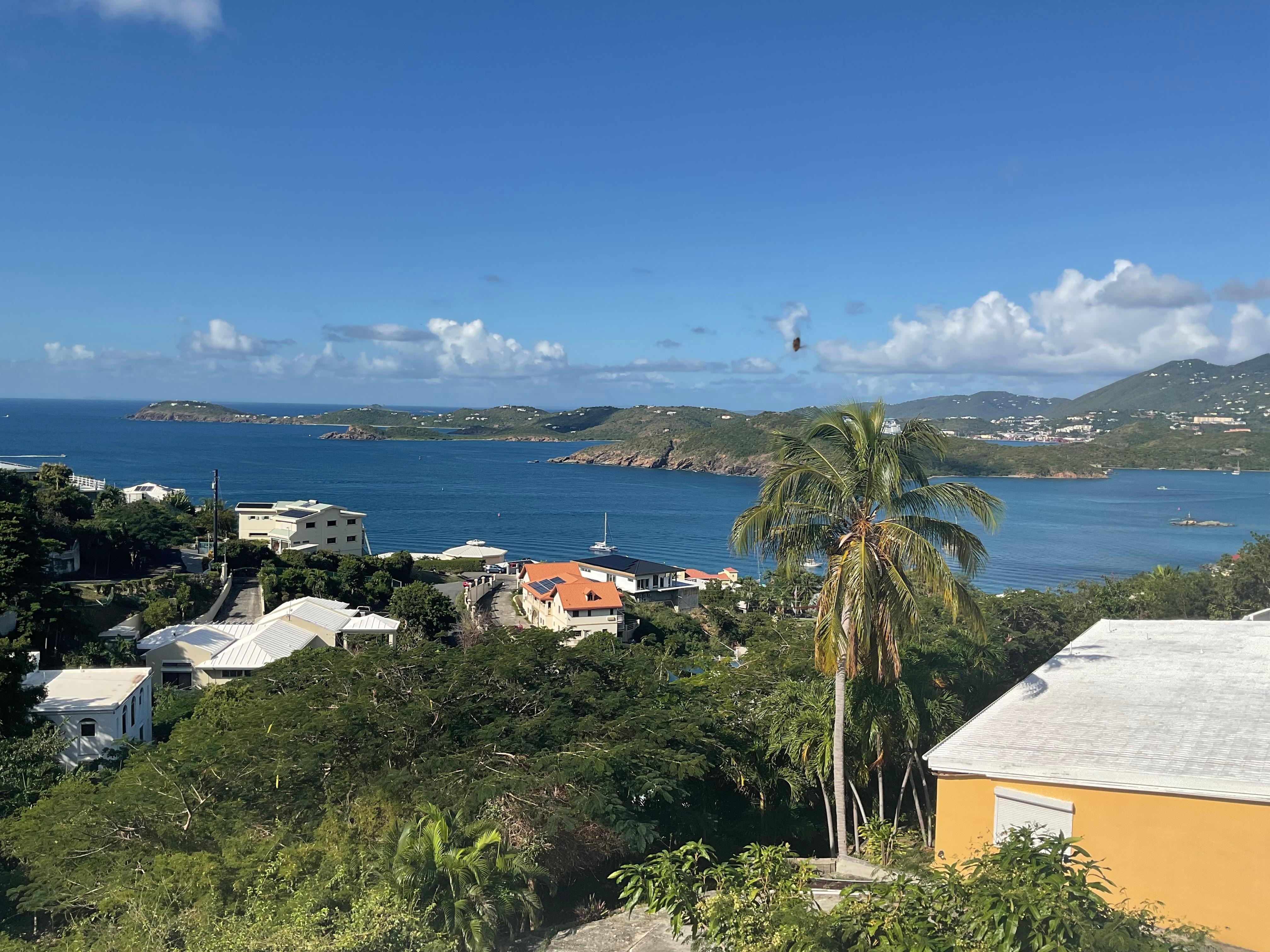 Morning from the porch. 