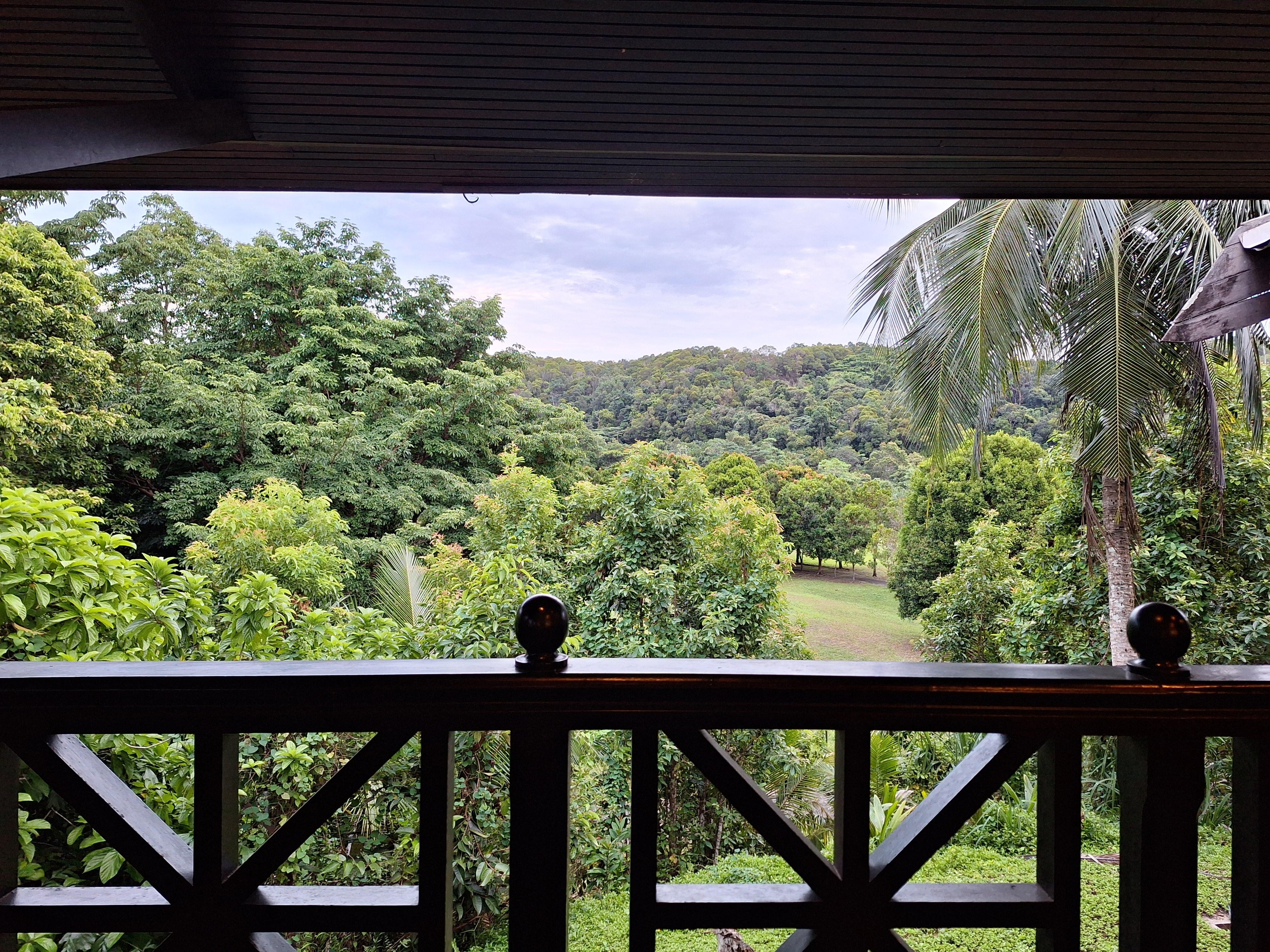 Vue depuis le restaurant 