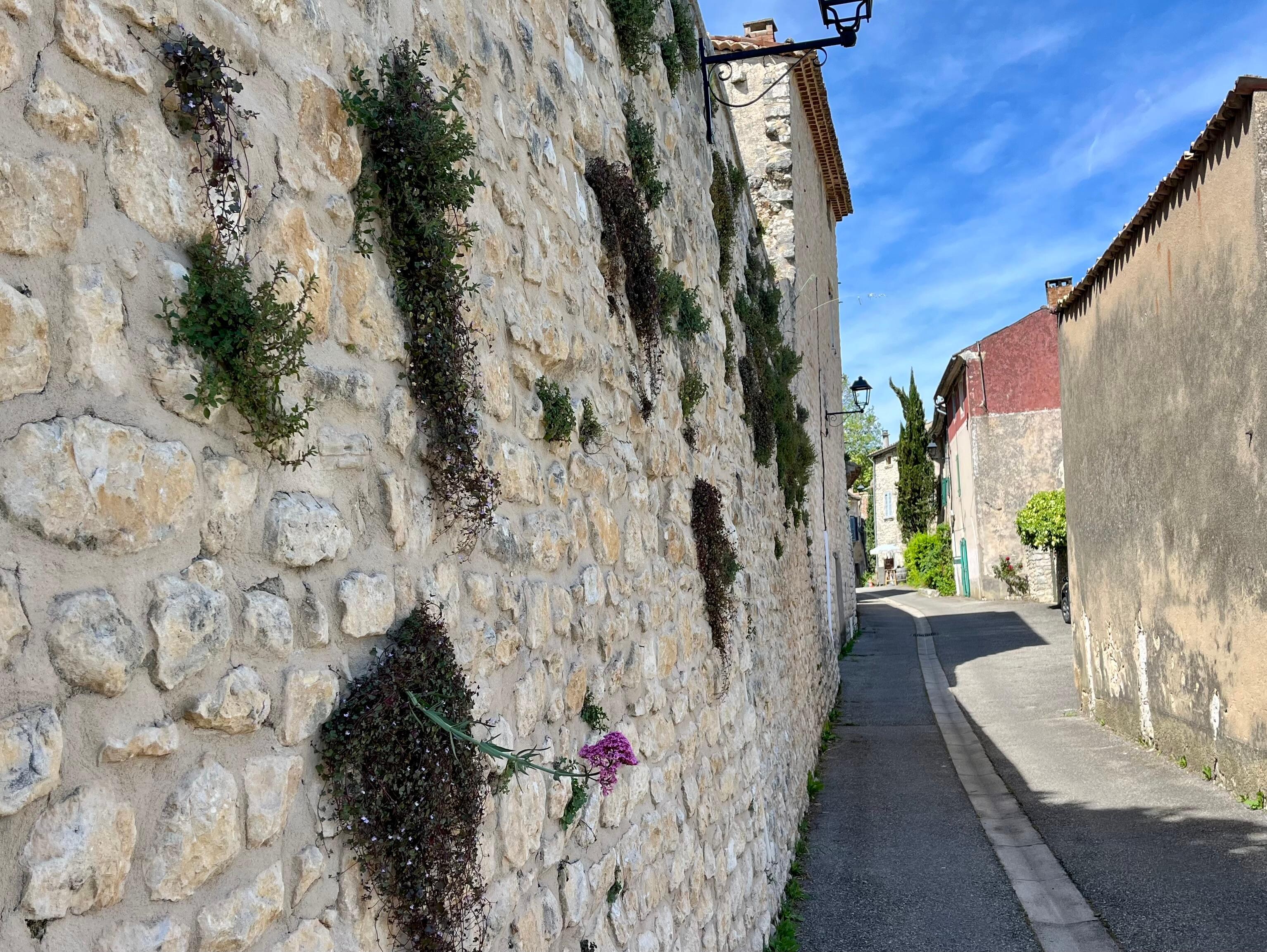 Monieux 