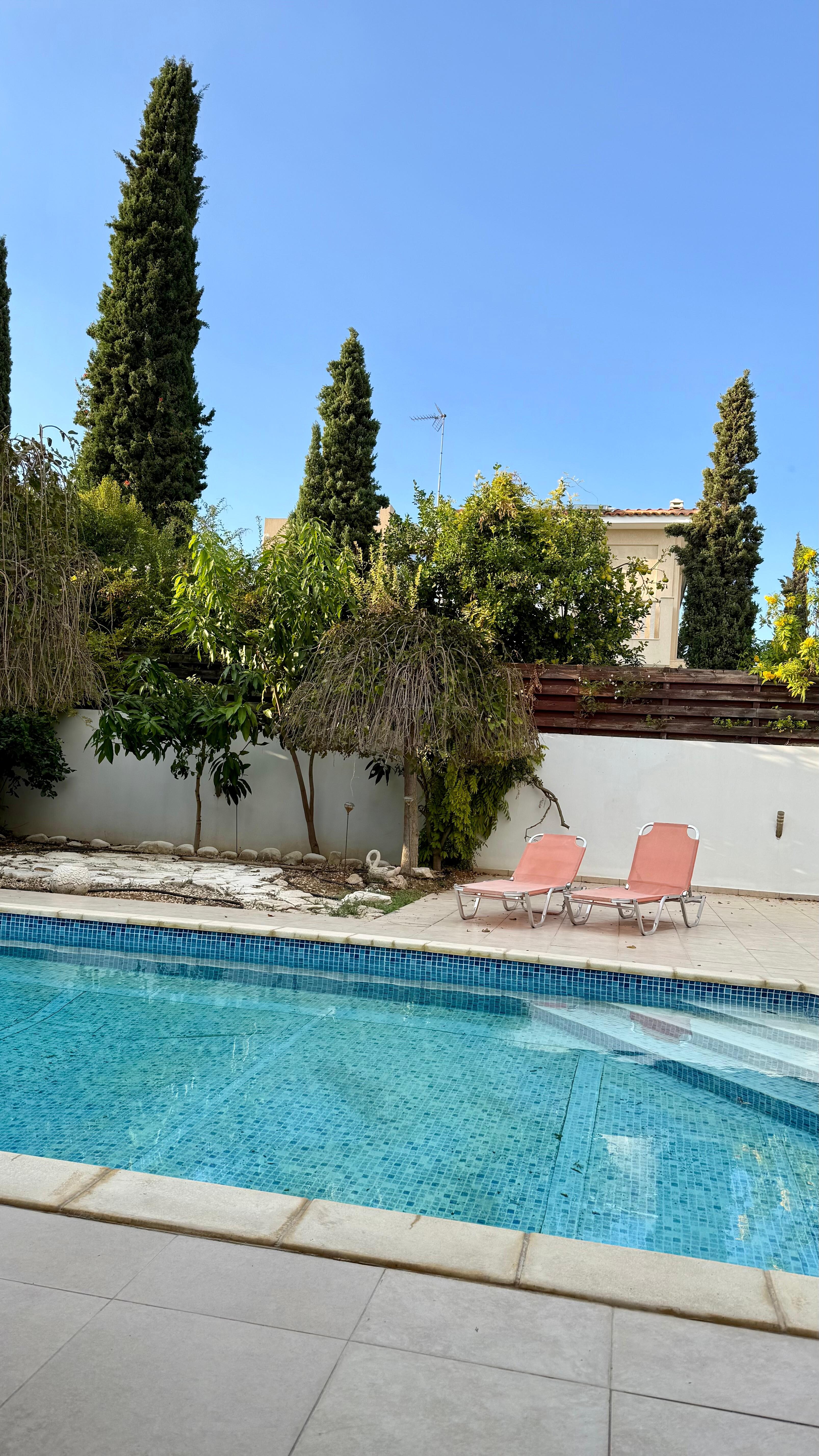 Blick von der Terrasse überdacht.